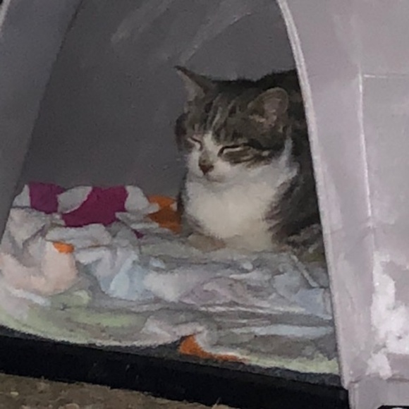 Your Posher, Susan in Suffield CT. - Picture 6 of 8